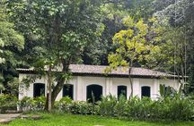 Private Botanical Garden Tour in Rio de Janeiro