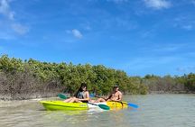 Kayak Merida