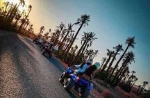 Half-Day Quad Biking and camel riding in Marrakech Palmeraie 