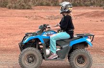 Half-Day Quad Biking and camel riding in Marrakech Palmeraie 