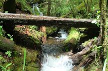 Full-Day Tour Llano Grande Waterfalls and Coffee Plantation in Huatulco!