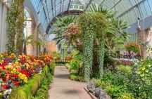 Private Romantic Cultural Tour of Historic Auckland