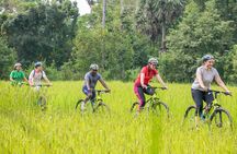 Bike the Siem Reap Countryside with Local Expert