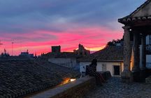 Private tour: 4 cultures, Granada in depth