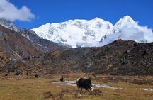 Kanchenjunga Circuit Trek