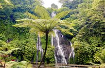 Banyuwana & Banyumala Waterfalls Tour (Private & All-Inclusive )