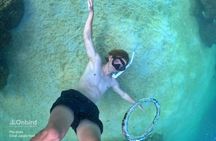PRO-SNORKELING to Explore The Coral Jungle REEF (MAX 10 PAX)