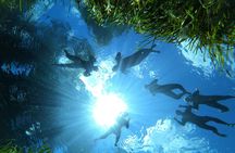4 Hour VIP Manatee Snorkel with In Water Guide–Small Group