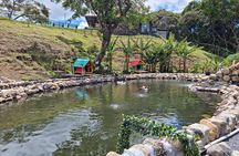 Unplug for a Day: 40m Donut Slide, Volcano Views & Restaurant