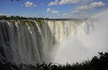 Private Guided Tour of Rain Forest Victoria Falls