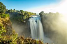 Private Guided Tour of Rain Forest Victoria Falls