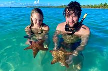 Saona Private tour with personal guide and transport from Punta Cana