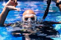  PADI Scuba Lesson and Shore Dive in Maui