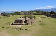 Amazing Monte Alban and City tour Private Tour