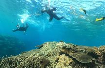 Boat Snorkeling Trip 1 Round 【Minna, Sesoko , Motobu Okinawa】
