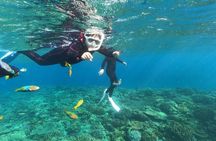 Boat Snorkeling Trip 1 Round 【Minna, Sesoko , Motobu Okinawa】