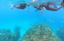 Boat Snorkeling Trip 2 Rounds 【Minna, Sesoko , Motobu Okinawa】