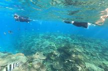Boat Snorkeling Trip 2 Rounds 【Minna, Sesoko , Motobu Okinawa】