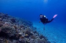 Boat Fundive 2Dives 【Minna, Sesoko , Motobu Okinawa】