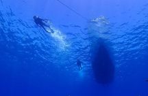 Boat Fundive 2Dives 【Minna, Sesoko , Motobu Okinawa】