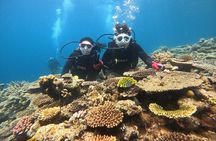 Discover SCUBA Diving 1 DIve 【Minna, Sesoko , Motobu Okinawa】
