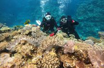 Discover SCUBA Diving 1 DIve 【Minna, Sesoko , Motobu Okinawa】