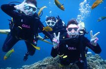Discover SCUBA Diving 2 DIves 【Minna, Sesoko , Motobu Okinawa】