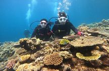 Discover SCUBA Diving 2 DIves 【Minna, Sesoko , Motobu Okinawa】