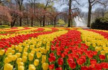 Keukenhof Ticket with Shuttle Bus from Amsterdam and Canal Cruise