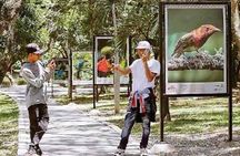 CITY TOUR OF CALI | Discover with local experts Cali