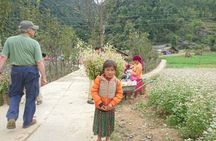 The Top Ha Giang Motorbike Tours All-Inclusive 