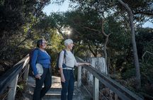 Freycinet Walking Tour