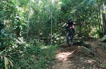 Mountain Bike Tour - Cairns