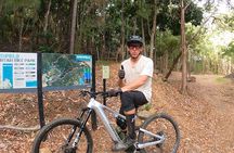 Mountain Bike Tour - Cairns