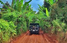 Elephant Forest tour by Jeep
