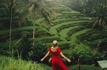 Ubud: Swing - Monkey Forest - Waterfall - Temple - Rice Terraces - Art Crafts