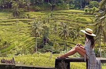 Ubud: Swing - Monkey Forest - Waterfall - Temple - Rice Terraces - Art Crafts