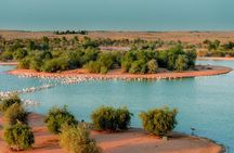 From Dubai: Full day Al Marmoom, Al Qudra Lakes with Dinner
