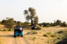 From Dubai: Full day Al Marmoom, Al Qudra Lakes with Dinner