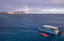 Waikiki Snorkel Tour