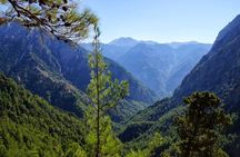 Full Day Tour Samaria Gorge From Chania