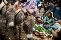 Full Day Addis Ababa City Tour