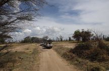 Arusha : 7 Day Safari Discover the real Africa from Lake Manyara