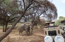 Arusha : 7 Day Safari Discover the real Africa from Lake Manyara