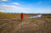 From Arusha: 2-Day Safari Through Tarangire and Lake Manyara
