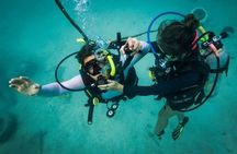 Beginner Discovery Scuba Diving in Anilao 2.5 hours away from Manila**