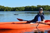 2Hour Everglades Kayak Safari Adventure Through Mangrove Tunnels