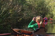 2Hour Everglades Kayak Safari Adventure Through Mangrove Tunnels