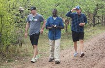 Game Drive and White Rhino Walking Safari in Livingstone