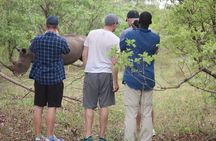 Game Drive and White Rhino Walking Safari in Livingstone